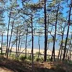 Le Vitrail D'arcachon - Appt Spacieux Terrasse Menage Draps Inclus