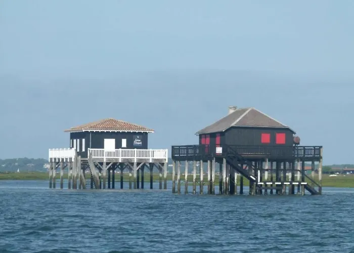 דירה Le Vitrail D'arcachon - Appt Spacieux Terrasse Menage Draps Inclus ארסשון