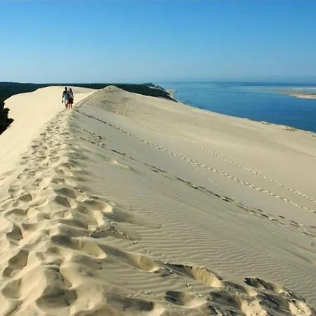 Le Vitrail D'arcachon - Appt Spacieux Terrasse Menage Draps Inclus