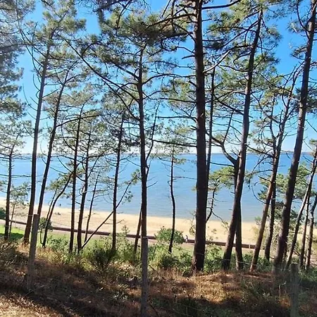 Le Vitrail D'arcachon - Appt Spacieux Terrasse Menage Draps Inclus