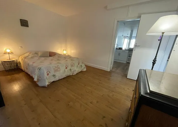 Appartement Le Vitrail D'arcachon - Appt Spacieux Terrasse Menage Draps Inclus